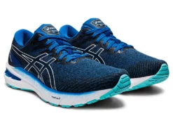 Men's ASICS GT-2000 10 - 1011B185.401 -Potomac River Running SHOP 1011B185 401 SB FR GLB