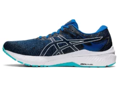 Men's ASICS GT-2000 10 - 1011B185.401 -Potomac River Running SHOP 1011B185 401 SR LT GLB